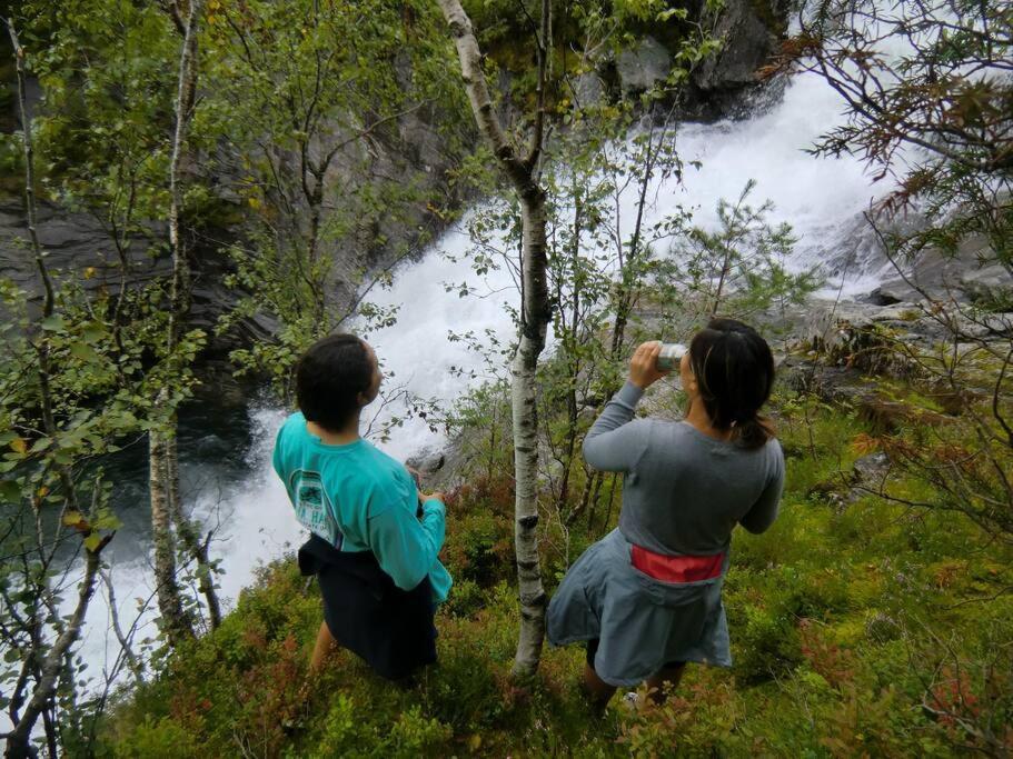 Sognevegen 2242 Daire Haugsvaer Dış mekan fotoğraf
