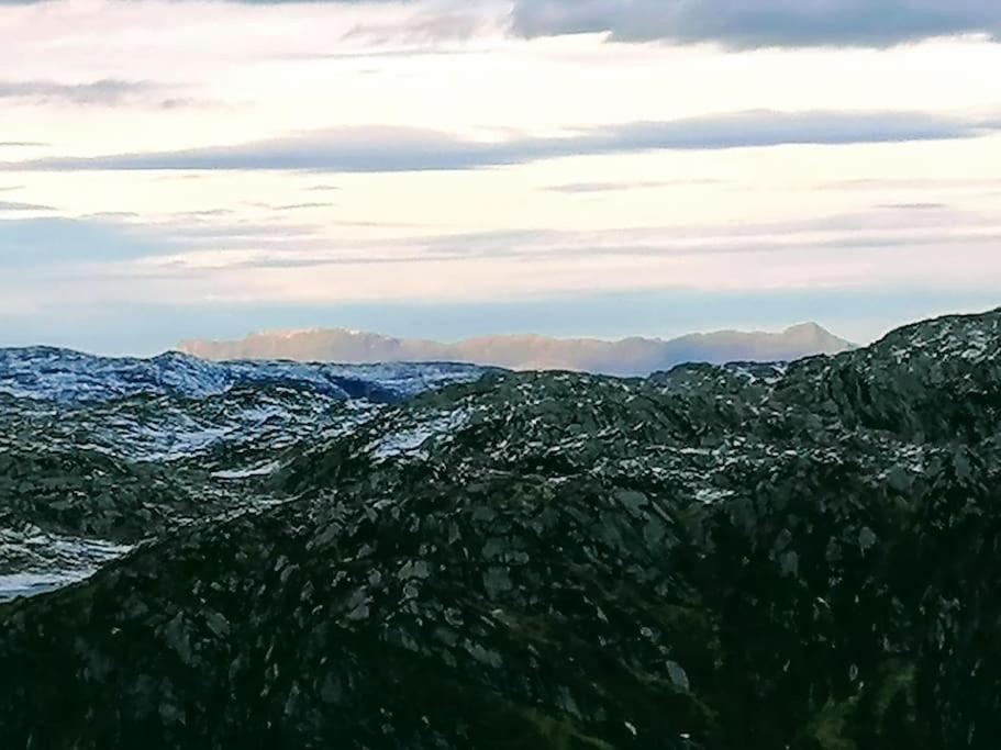 Sognevegen 2242 Daire Haugsvaer Dış mekan fotoğraf