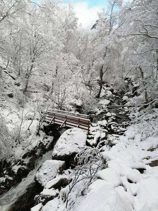 Sognevegen 2242 Daire Haugsvaer Dış mekan fotoğraf