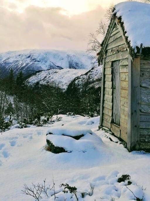 Sognevegen 2242 Daire Haugsvaer Dış mekan fotoğraf