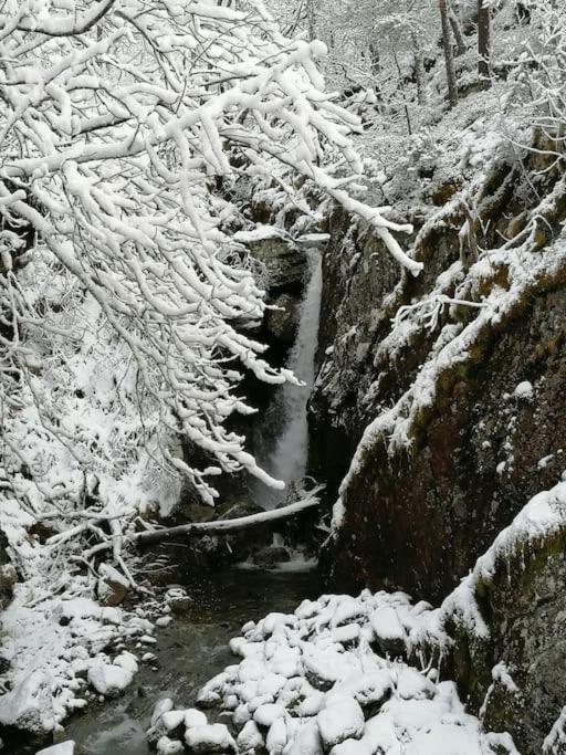 Sognevegen 2242 Daire Haugsvaer Dış mekan fotoğraf