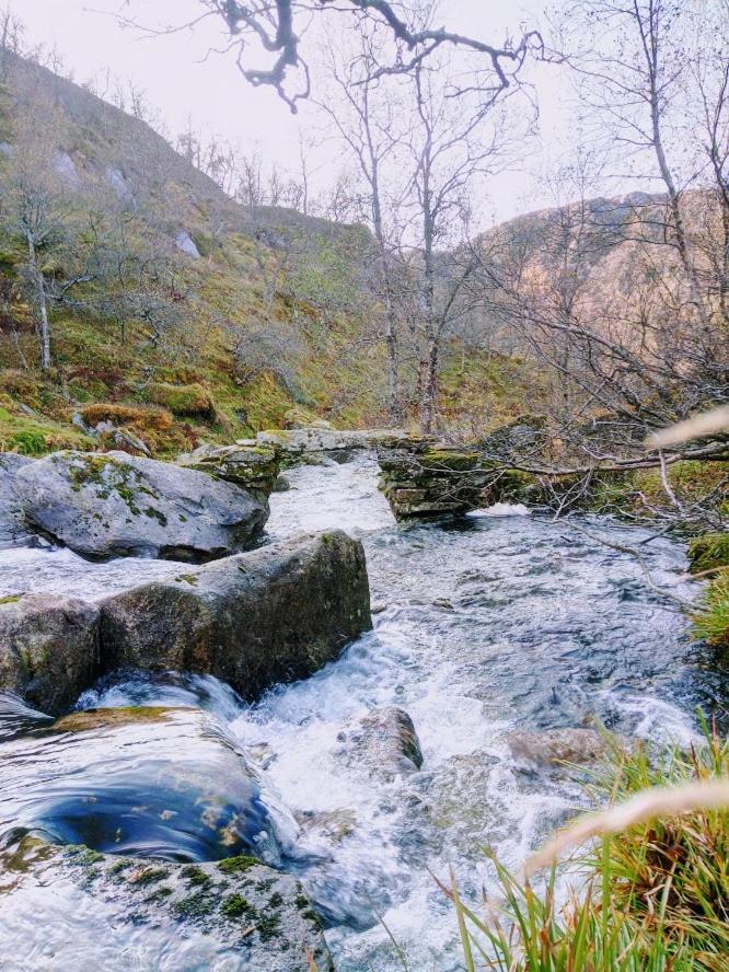 Sognevegen 2242 Daire Haugsvaer Dış mekan fotoğraf