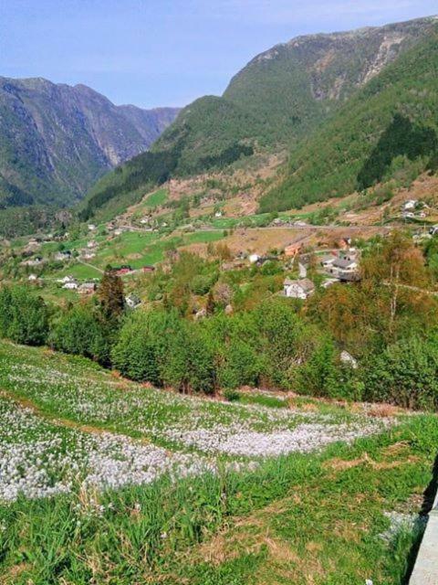 Sognevegen 2242 Daire Haugsvaer Dış mekan fotoğraf