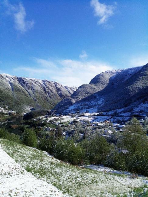 Sognevegen 2242 Daire Haugsvaer Dış mekan fotoğraf
