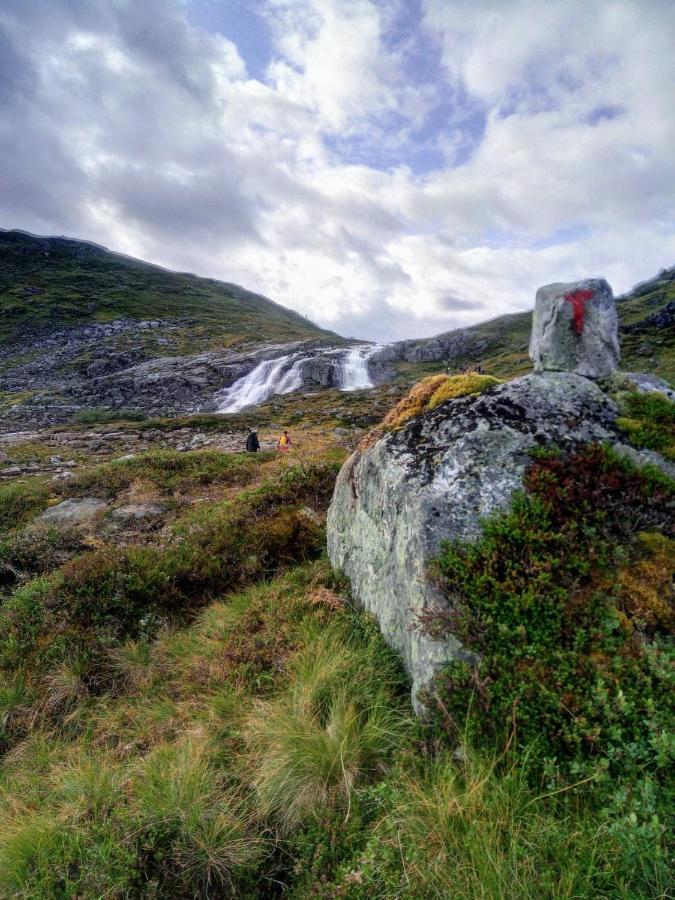 Sognevegen 2242 Daire Haugsvaer Dış mekan fotoğraf
